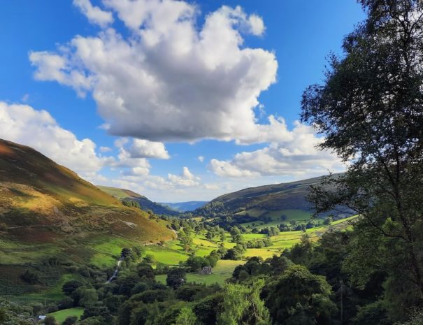 Welsh Valley