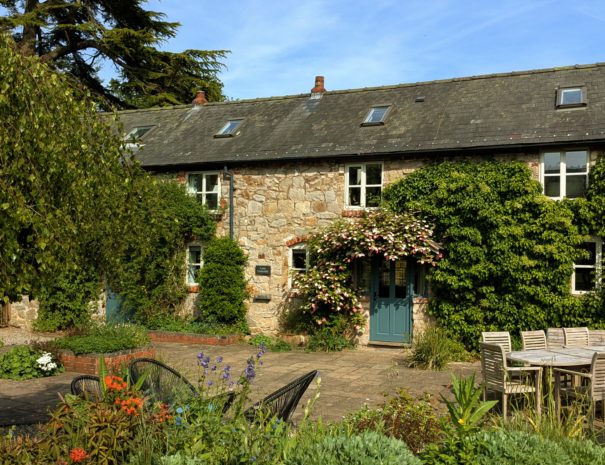 PXL_20250514_151320322